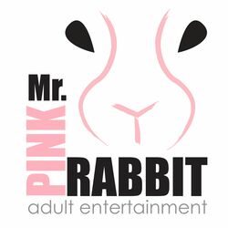 Mr Pink Rabbit